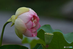 自分を見つめる