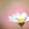 心の内（なか）