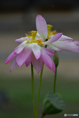 二人でダンスを