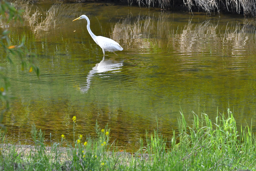 ここで我慢しよう