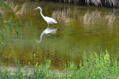 ここで我慢しよう