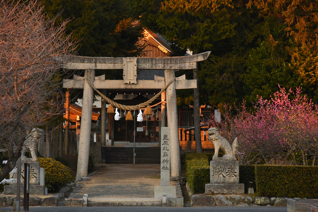午後の豊原神社