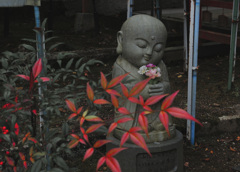 どうぞ先へお進みください、