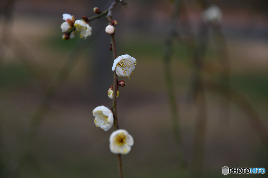 ゆらゆら揺れる