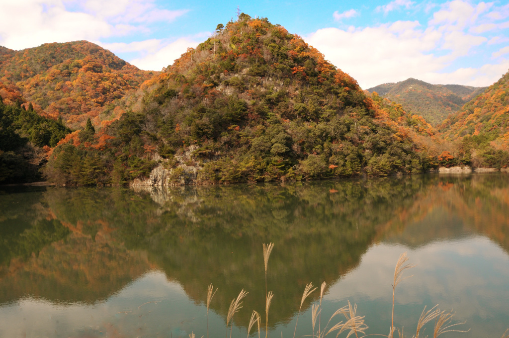 自然湖の秋