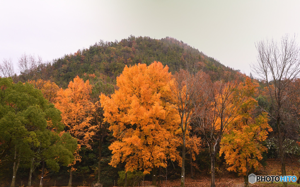 三徳園小鳥の森