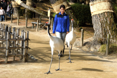 お願いだから困らせないで、