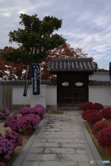 寺の花道