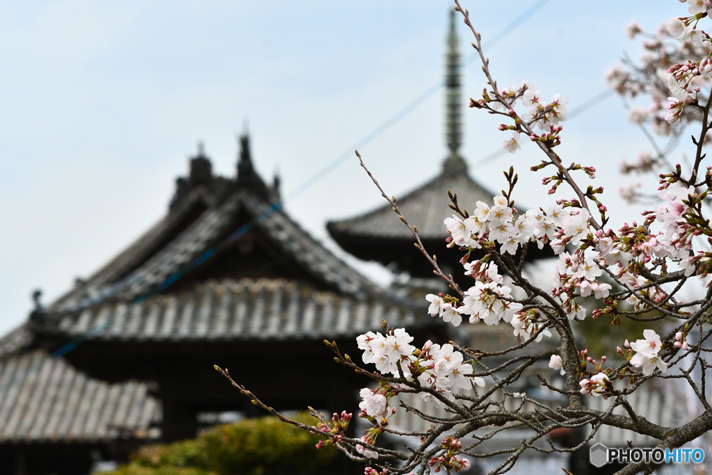 上寺山余慶寺