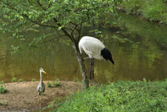 隠れてるつもり？
