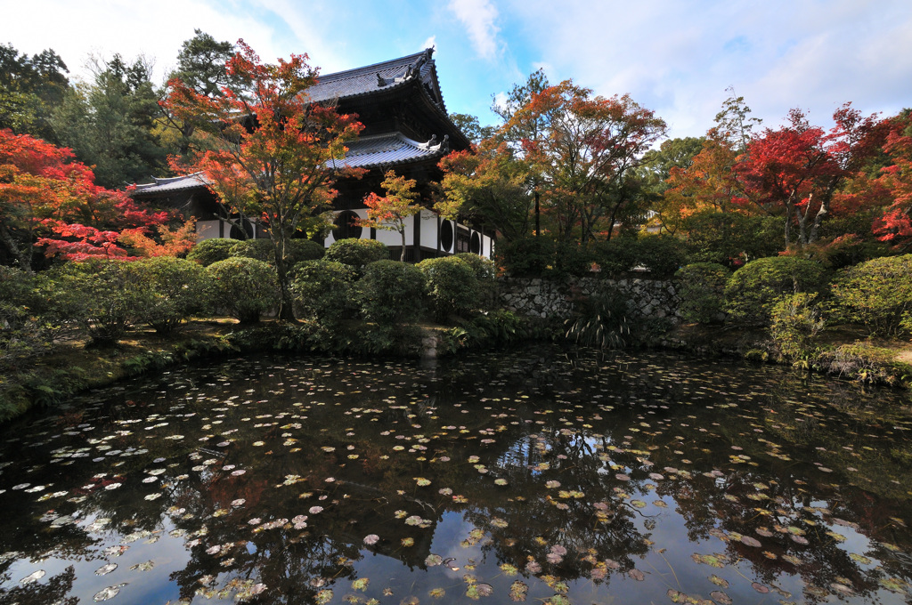 宝福寺　仏殿