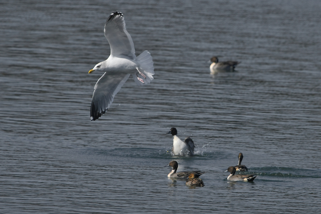 わっ、ビックリした！