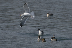 わっ、ビックリした！