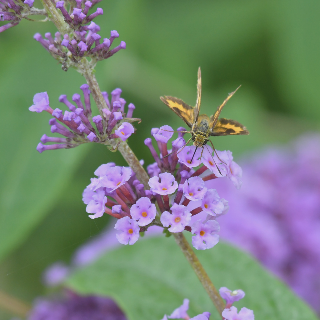 笑えるぐらい美味しい