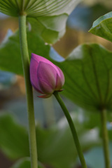 優しく寄り添う