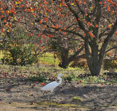 そんなに食べられないよ～