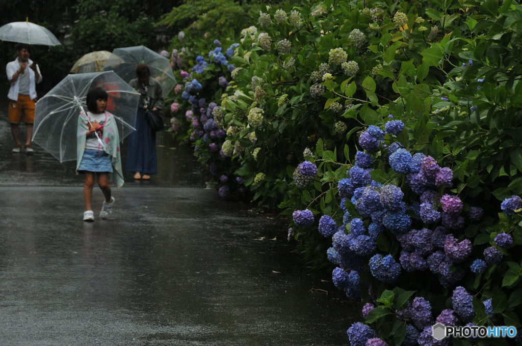 雨に濡れても