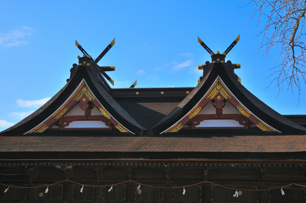 もうすぐ初詣