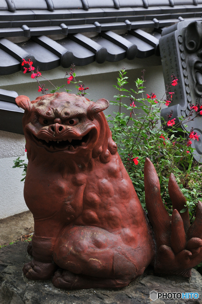 よく来たね、