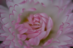 内に秘めた思い