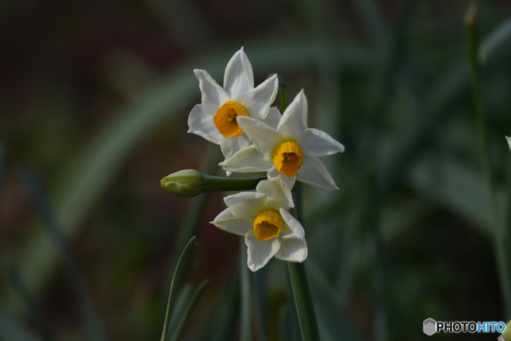 地上の星(^_-)-☆