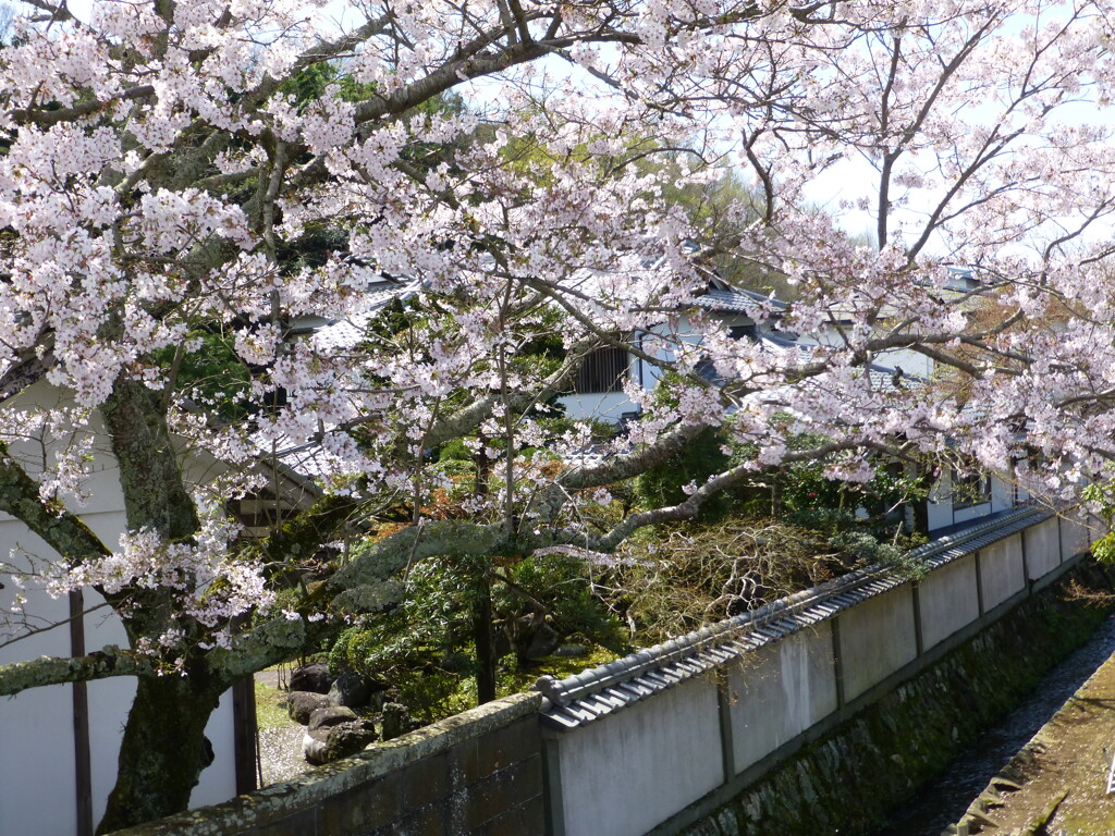 蔵出し　近所のお屋敷