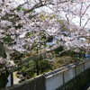 蔵出し　近所のお屋敷