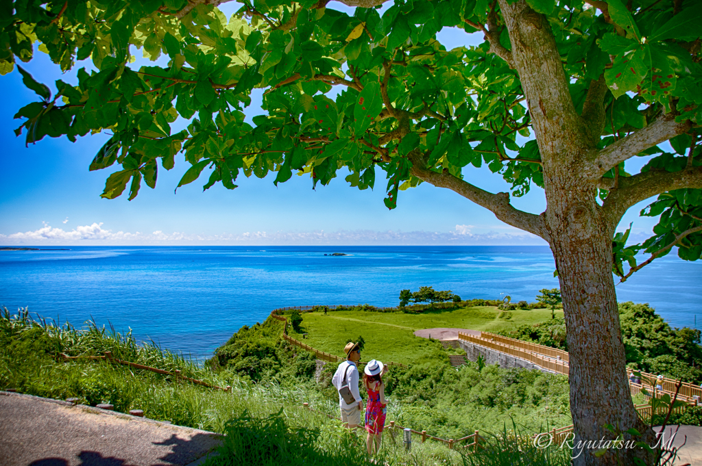 夏の沖縄