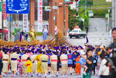 大綱登場