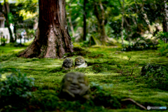 三千院