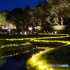 岡山後楽園　幻想庭園