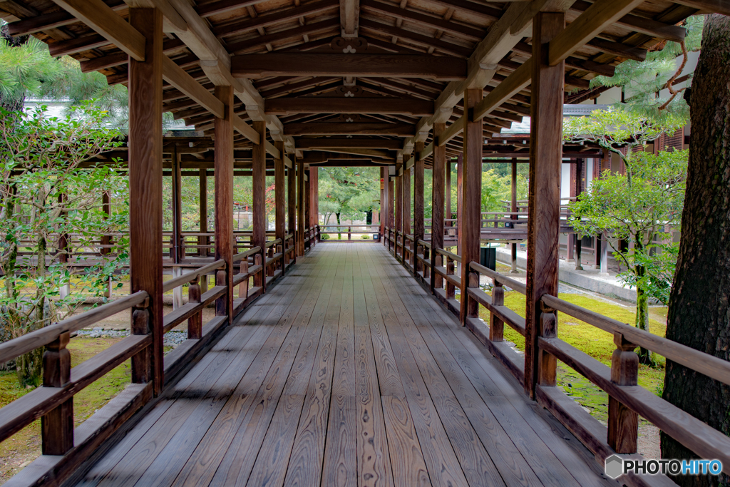 大覚寺