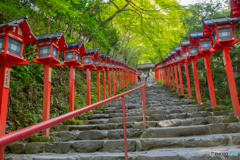 貴船神社