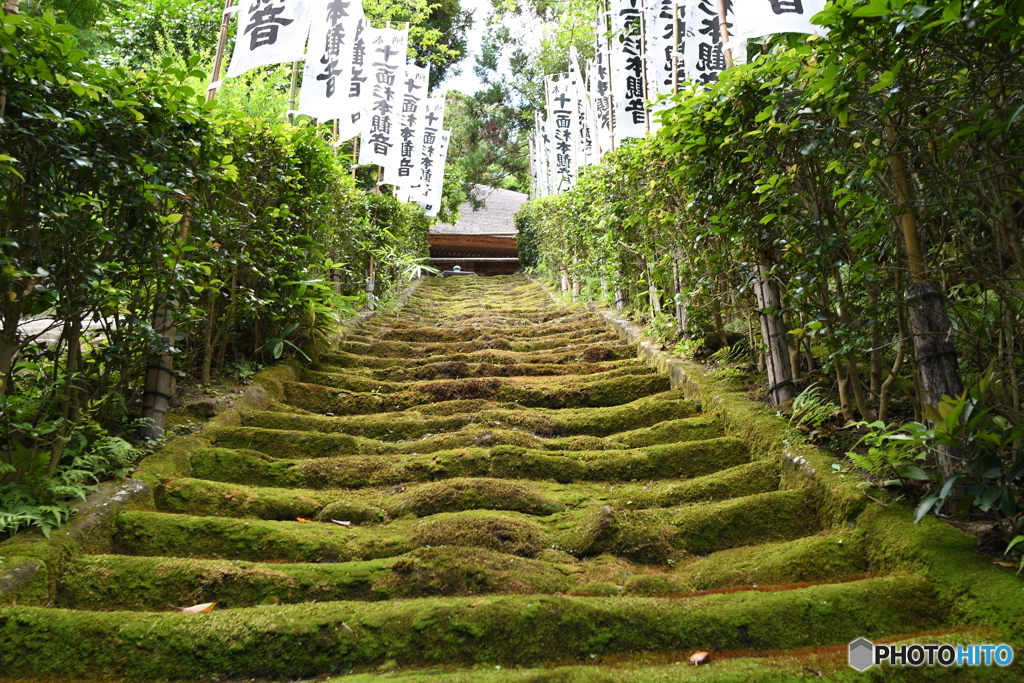 杉本寺