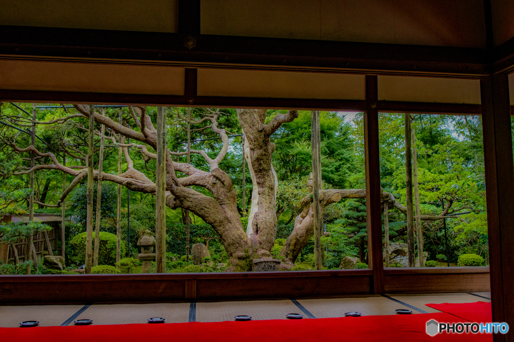 宝泉院０３
