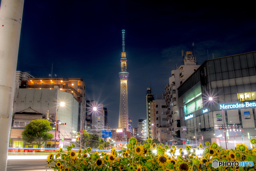 SKYTREE