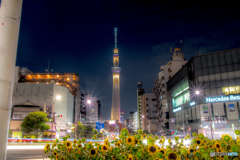 SKYTREE
