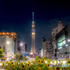 SKYTREE