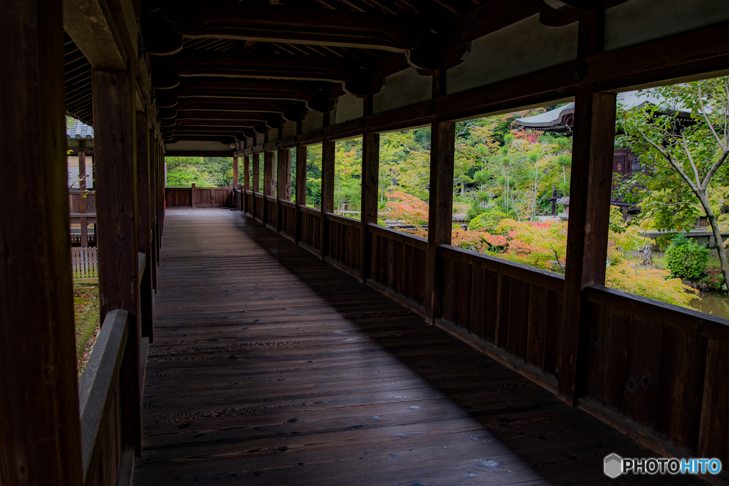 京都　清涼寺