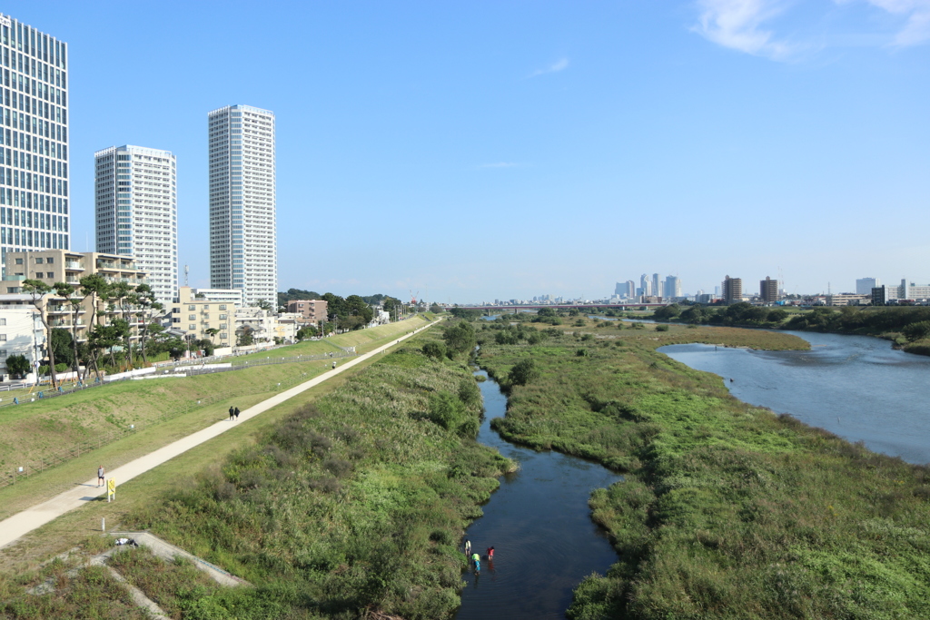 多摩川