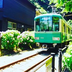 御霊神社の紫陽花と江ノ電と…