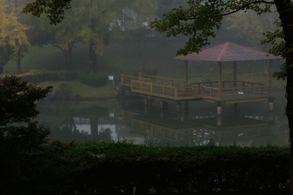 朝霧-2