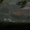 朝霧-2