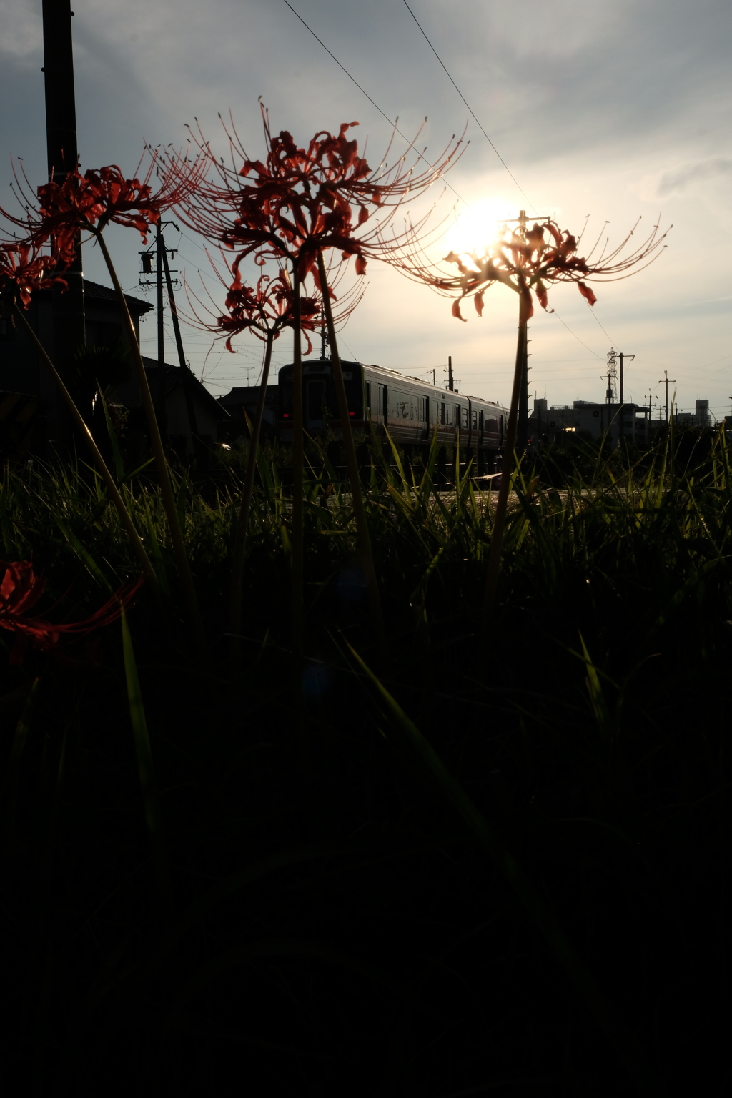夕暮の秋
