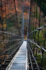 吊橋と紅葉