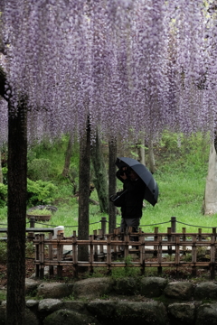 狙い撃ち（雨にも負けず）