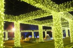 DSCF5319_624
