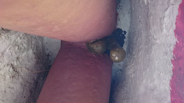 DSC_1640_624