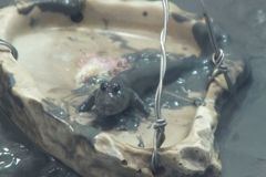 DSCF5213_624