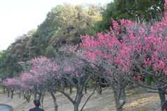 DSCF5462